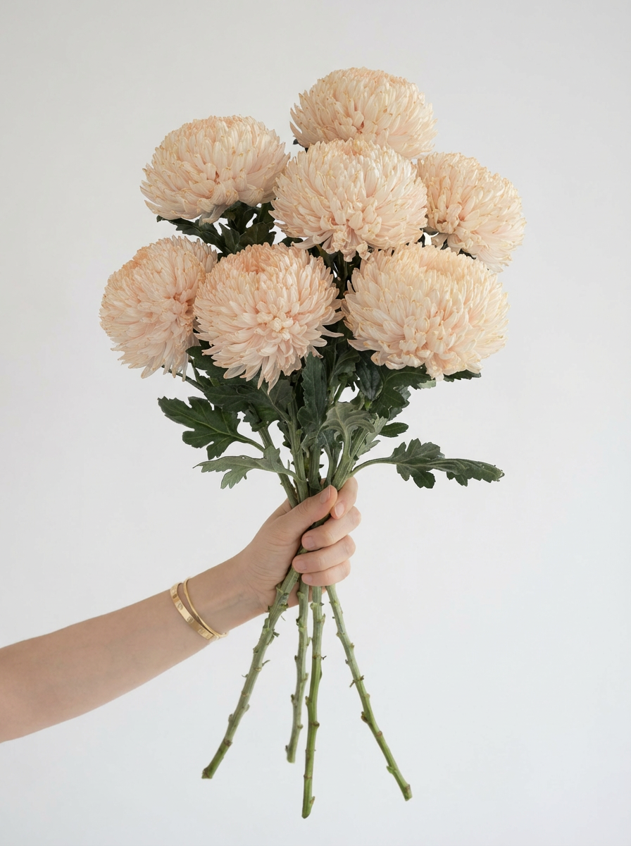 Chrysanthemum Bouquet Gift Subscription