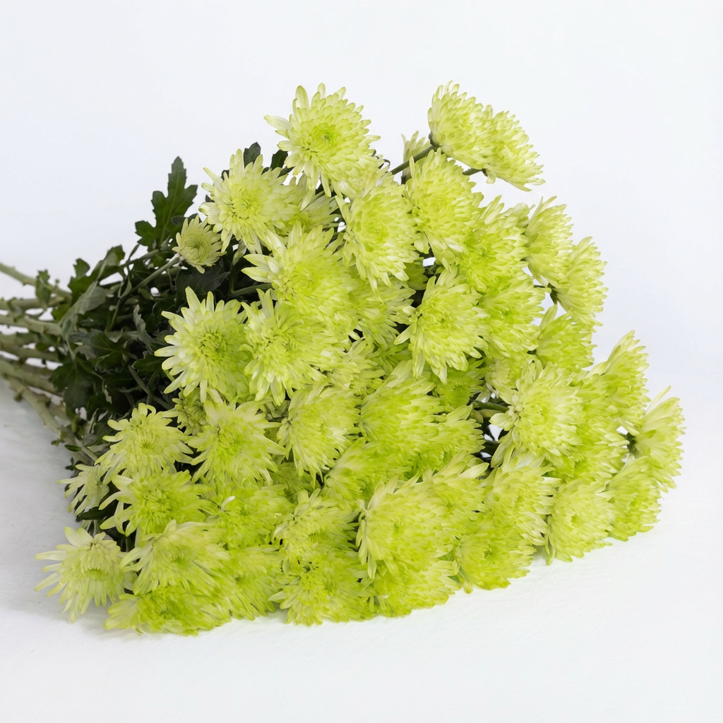 Chrysanthemum Bouquet Gift Subscription