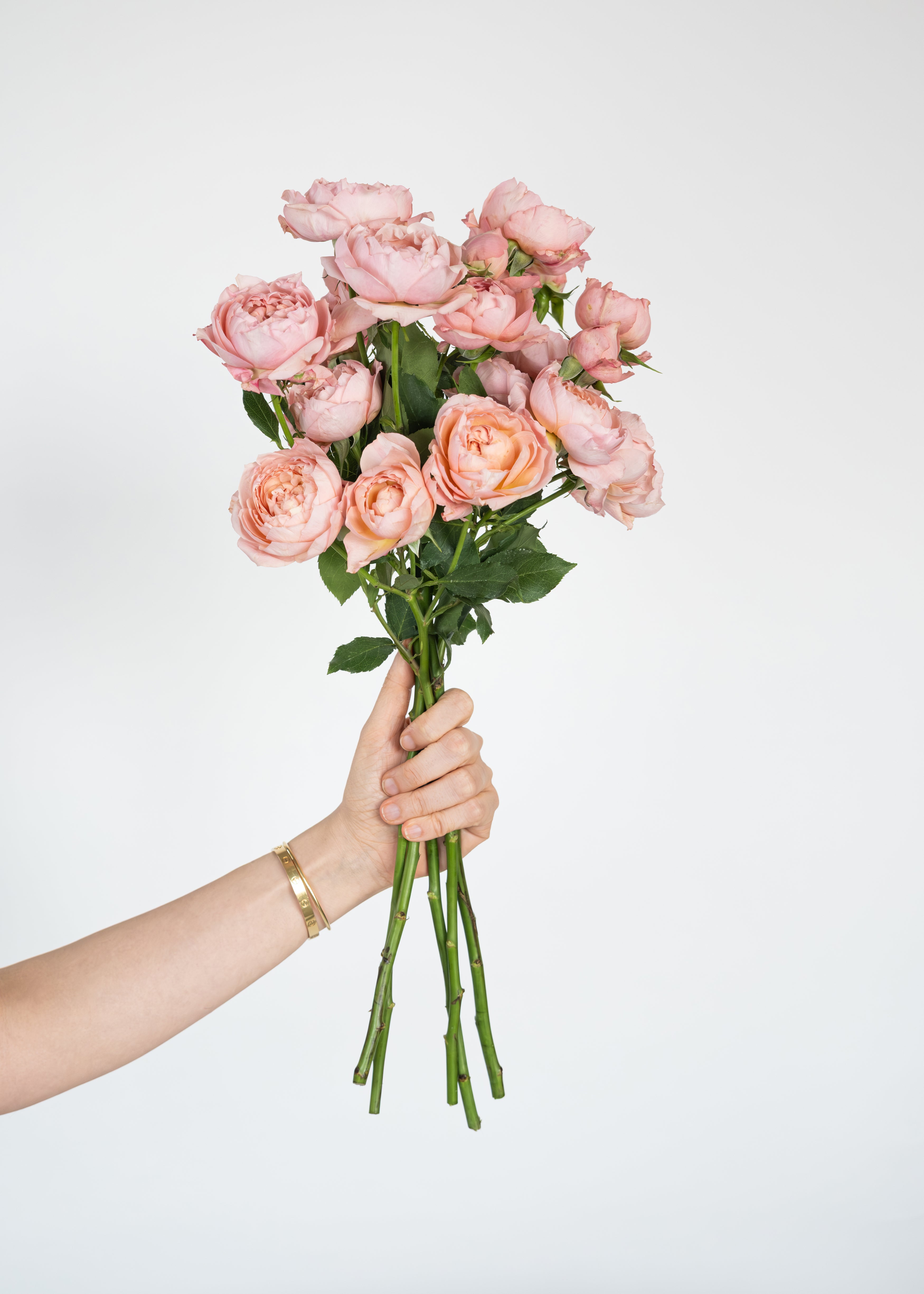 Spray Juliet Rose in Blush Pink