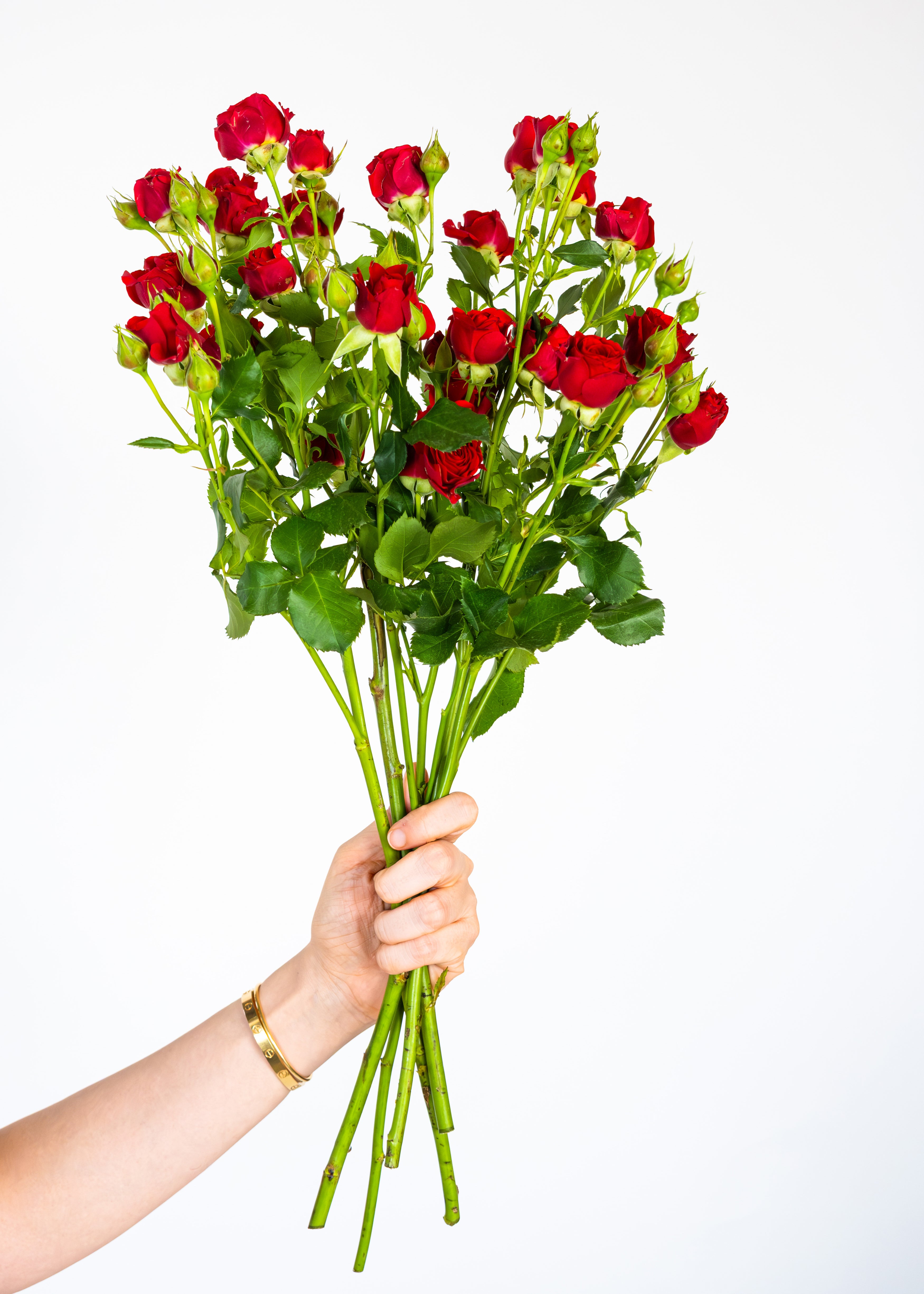 Spray Rose in Red