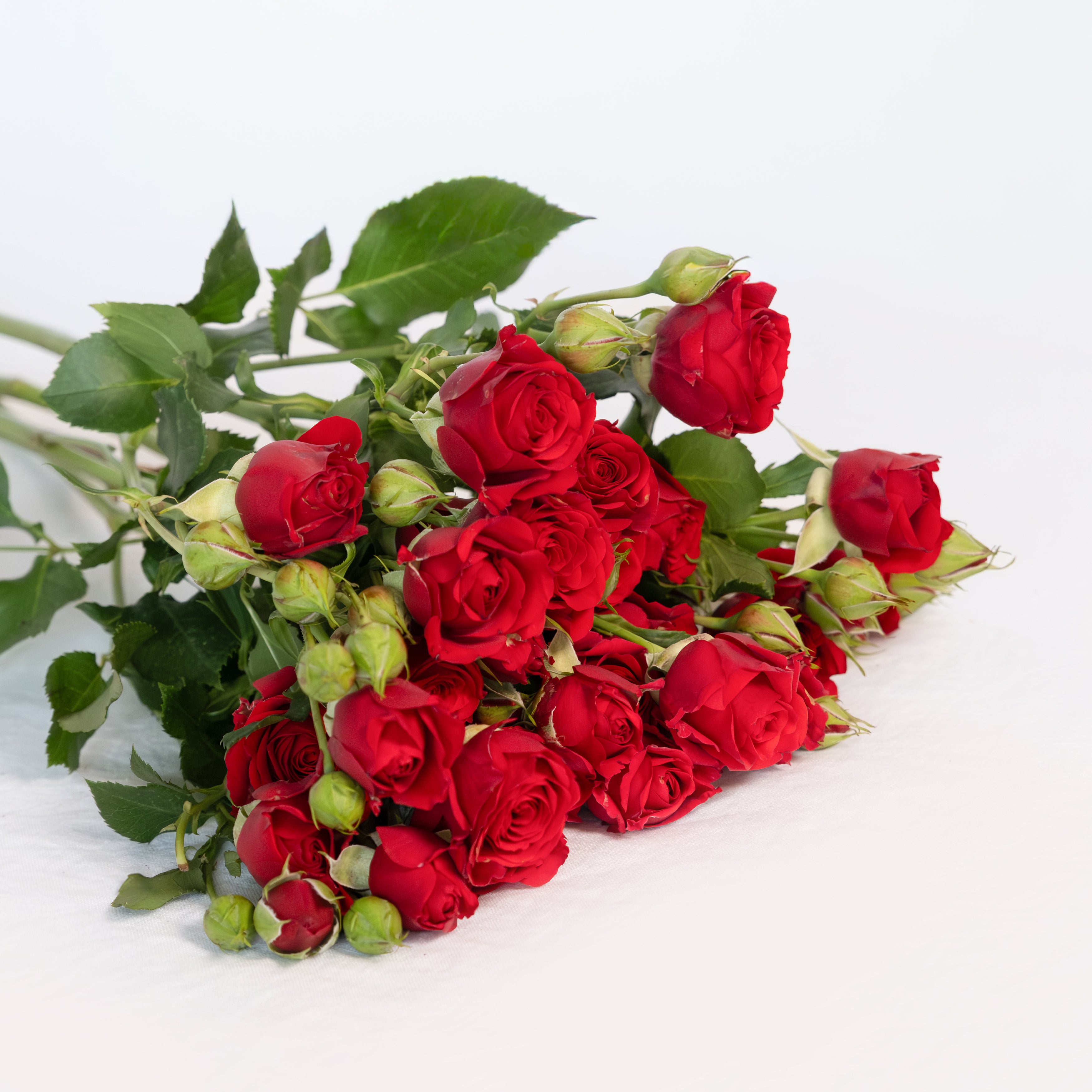 Spray Rose in Red