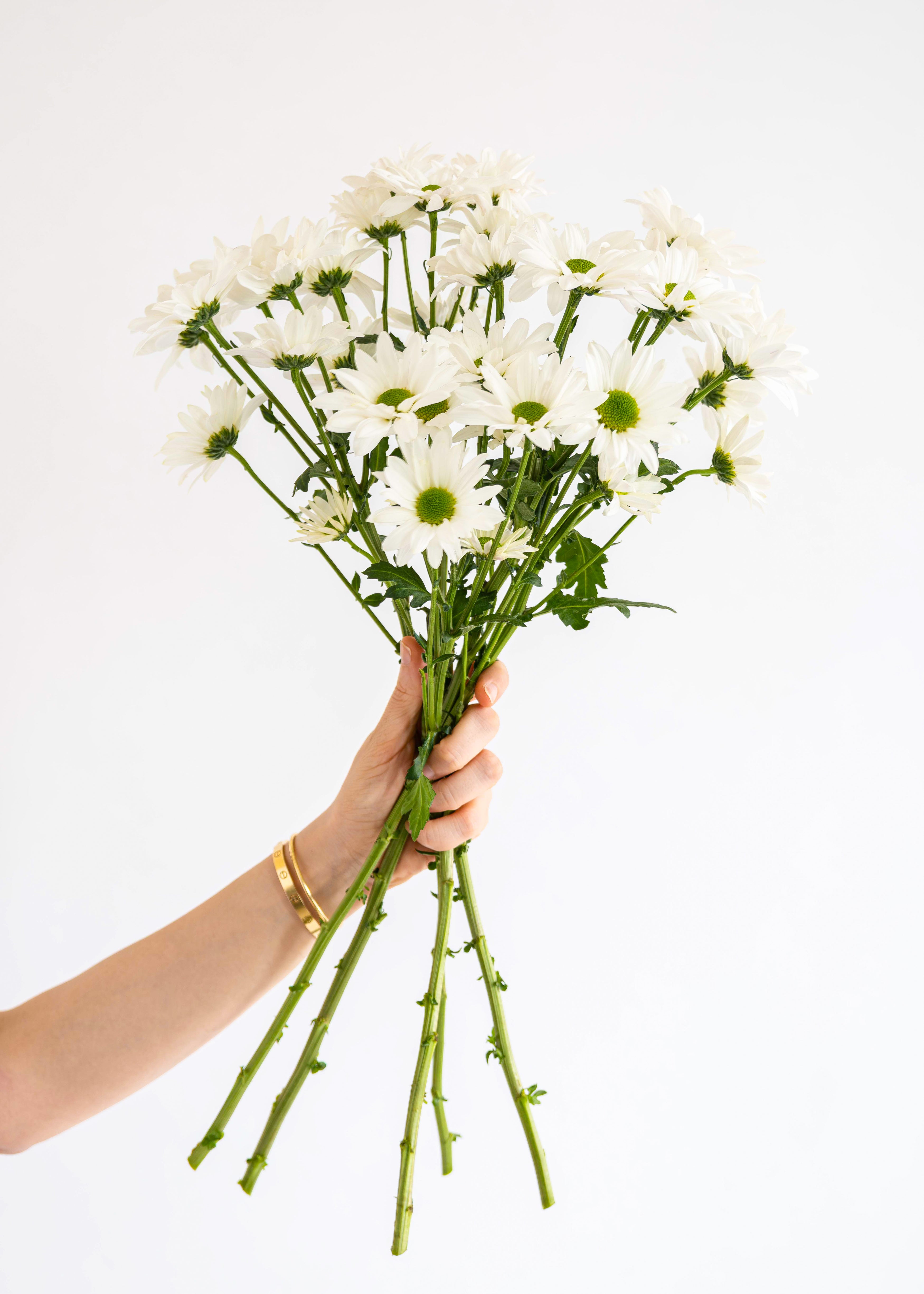 Chrysanthemum Bouquet Gift Subscription