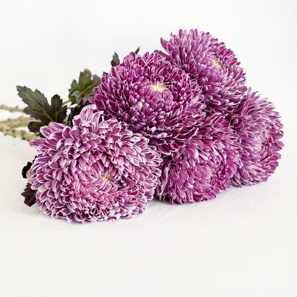 Chrysanthemum Bouquet Gift Subscription
