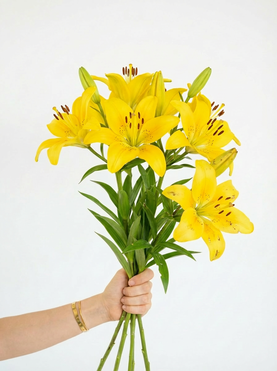 Lilium Bouquet