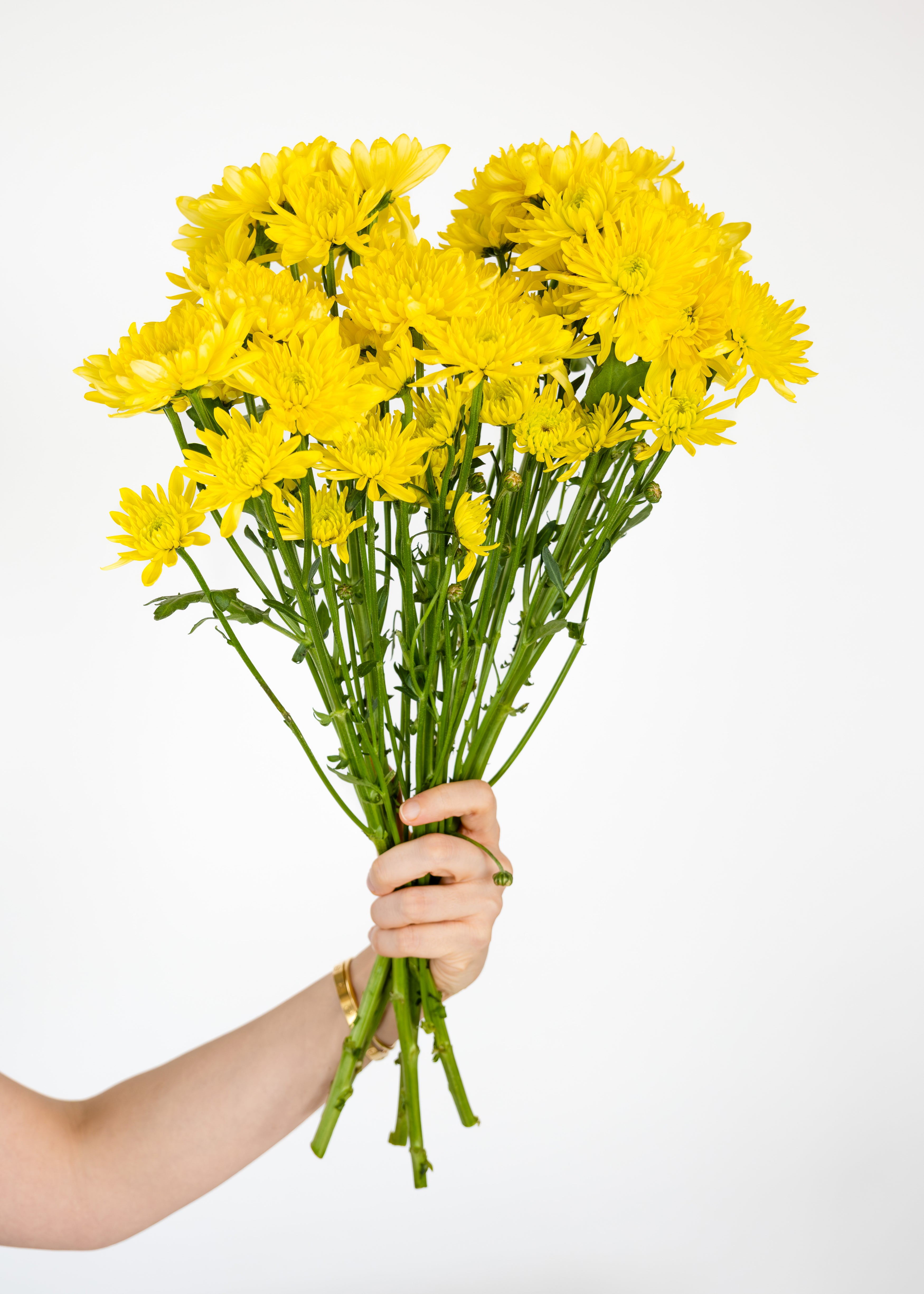 Chrysanthemum Bouquet Gift Subscription