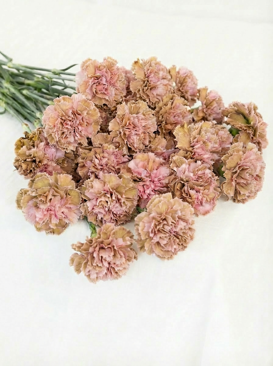 Carnations Bouquet